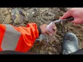 kawakawa bay fishing rock fishing nz fishing adventure