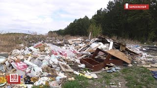 Несанкционированная свалка под Березовским. Мертвые собаки и ртуть