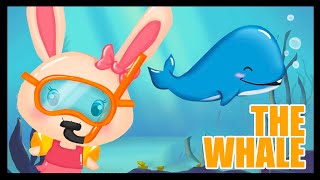 NEW! 🐋 🌊 We live very cool adventures with our friend the whale! 🐋 🌊 Titounis