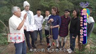 三峽白雞谷芳有機茶園《任務客》EP17：吳鳳  出任務囉!!