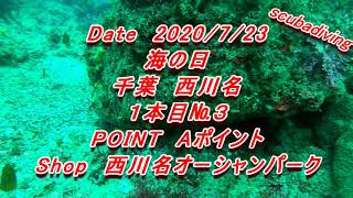 【ダイビング】千葉県館山市　西川名　１本目№３　2020/7/23