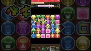 パズドラ　ジューンブライドガチャ6連