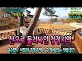 1천만원 인하 매매가 2억7천만원 옥천면 아신역10분거리의 주말전원주택 구거에 텃밭사용하고 있는 아담한 전원주택2억대♣매물문의 031 524 9734