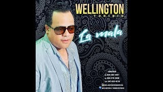 wellington toribio \