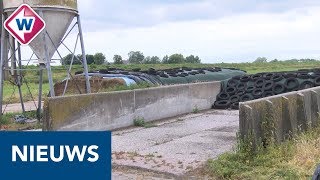 Duurzaam boeren? In Midden-Delfland gebeurt het al jaren - OMROEP WEST