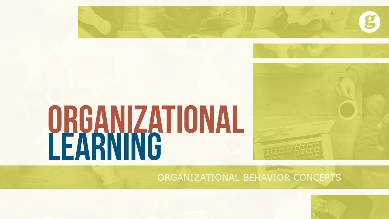 Organizational Learning Youtube