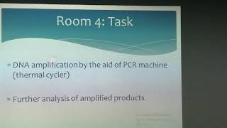 PCR Lab Set Up/ Molecular Lab Design/ Estimated Budget