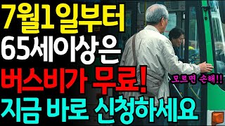 7월 1일부터 65세 이상 버스비 무료 됩니다ㅣ노후 준비ㅣ인생의 지혜ㅣ노인복지ㅣ65세이상혜택