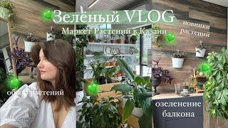 Маркет Растений | гуляю и покупаю растения, озеленяю балкон || Зелёный VLOG