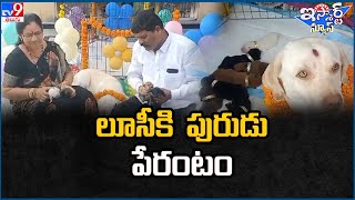 iSmart News : లూసీకి  పురుడు పేరంటం | Dog - TV9