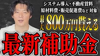 【速報】経営者必見！要件対象の方は本気でオススメする最大800万円貰える最新補助金を解説します！