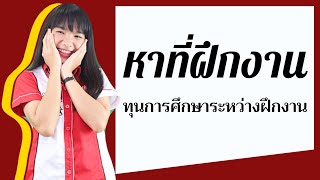 หาที่ฝึกงาน - ทุนการศึกษาระหว่างฝึกงาน