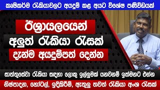 ඊශ්‍රායලයෙන් අලුත් රැකියා රැසක් | නිෂ්පාදන හෝටල් ඉදිකිරීම් සාත්තුසේවා | Israel jobs 2024 | Sinhala