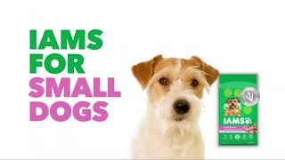 IAMS Adult Minichunks Small Kibble High Protein Dry Dog Food with Chicken