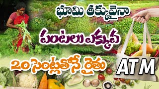 కావాల్సిన వెంటనే రైతు చేతికి ఆదాయం | ATM model Farming | Seshamma