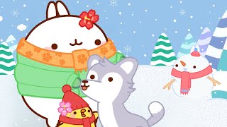 Molang rescue the Cutest HUSKY for Christmas 🐺❄️