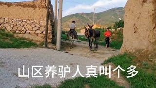 张家口小山村大街上毛驴多，大爷骑驴刚回来，山里老人淳朴厚道