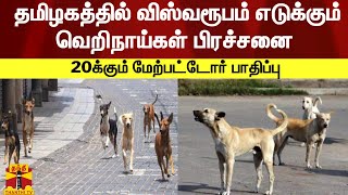 தமிழகத்தில் விஸ்வரூபம் எடுக்கும் வெறிநாய்கள் பிரச்சனை  -  20க்கும் மேற்பட்டோர் பாதிப்பு