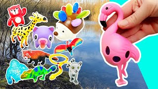 Learn Animal Names \u0026 Fun Facts at the Pond for Babies Toddlers Kids: Pig Frog Bear Lemur Alligator