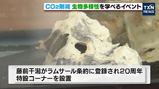 【絶滅危惧種も展示】生物多様性を学べるイベント【CO₂削減】（2022年9月17日）