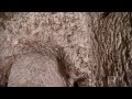 Underground cities in Cappadocia Part 3.mp4