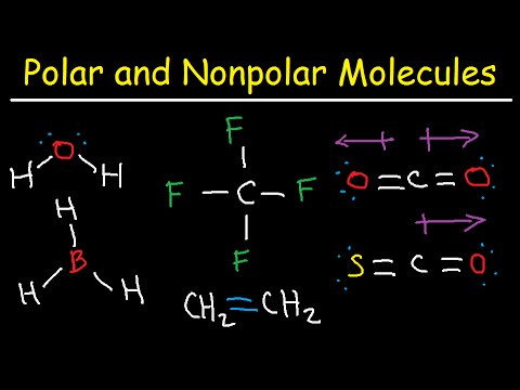 What is polar and nonpolar group?