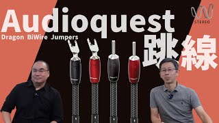 AudioQuest Dragon/Thunderbir BiWire Jumpers最新神獸系列跳線！分享喇叭Biwire接法使用給用家DIY選擇！#音響 #音響規劃  #開箱 #喇叭