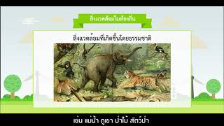 4 ปัญหาและแนวทางการแก้ไขปัญหาสิ่งแวดล้อมในท้องถิ่น