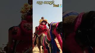 ପୁରୀ ସମୁଦ୍ର କୂଳ🏄🏄 #puri #sea #seabeach #camel #raja #odisha #manas #enjoy #trending #shorts #viral