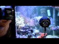 ecotech marine vortech mp40qd sound test