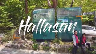 Hiking at Hallasan, Jeju 2019 May | 濟州 漢拿山 行山 | チェジュ島 漢拏山 ハイキング