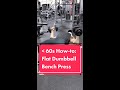 Flat Dumbbell Bench Press - Under 60s How-to - Schaum Fitness