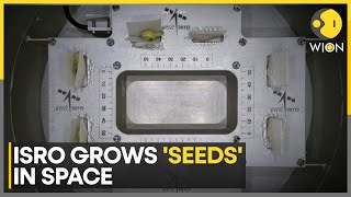 ISRO Grows Crops In Space | World News | WION