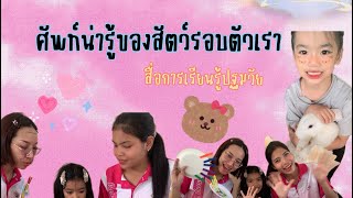 สื่อการเรียนรู้เด็กปฐมวัย | ศัพท์น่ารู้ของสัตว์รอบตัวเรา 🐰✨