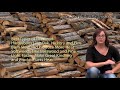 how to determine what type of firewood is best for your woodburning needs