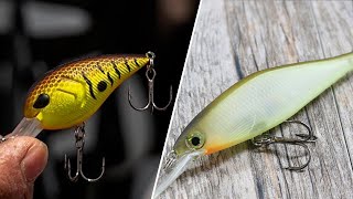 Crankbait vs Jerkbait Differences and Comparison