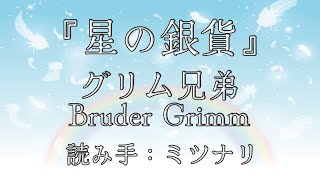 【朗読】グリム童話「星の銀貨」〜作業用 読み聞かせ リラックスに〜 青空文庫 【睡眠導入】