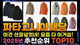 지금 사야 할 파타고니아패딩! 2025년 추천 Top10!