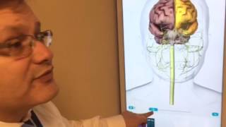 Using Interactive Touch-screen Technology to Educate Patients