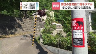 住宅の庭で親子とみられるクマ２頭目撃、住民に気づくと森へ…付近では前日も４頭目撃　札幌市南区