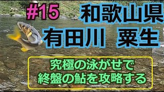 #15【有田川　後編 】目印に全集中？　島　啓悟★鮎　入れ追い