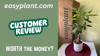 easyplant.com Experience - I ordered a Money Tree ... Was it worth it?