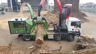 PTH 1000/1000 M Pezzolato drum wood chipper driven by SCANIA DC16 motor, 656 Hp power