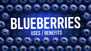 🫐Blueberries: Uses / Benefits | ப்ளூபெர்ரியின் சத்துக்கள் 🫐🪴#blueberry #fruit #benefits #healthy