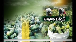 Jaikisan AP | 25th Apr'19 | Part - 3