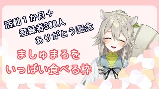 【1か月記念雑談】愛のこもったマシュマロをいっぱい食べる【新人Vtuber/乙木あかり】