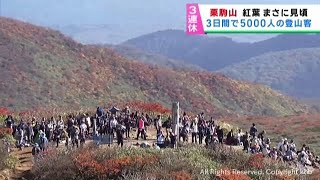 ３連休最終日　宮城県内の紅葉・観光地を空撮リポート！