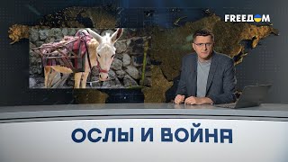 🔴 Россияне используют ОСЛОВ – у оккупанта на фронте ПРОБЛЕМЫ с логистикой