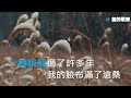 攙扶~馬健濤（導唱字幕）