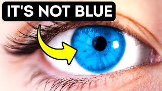 Facts You Didn't Know About Eye Color + Quiz: Guess a Star by Eyes